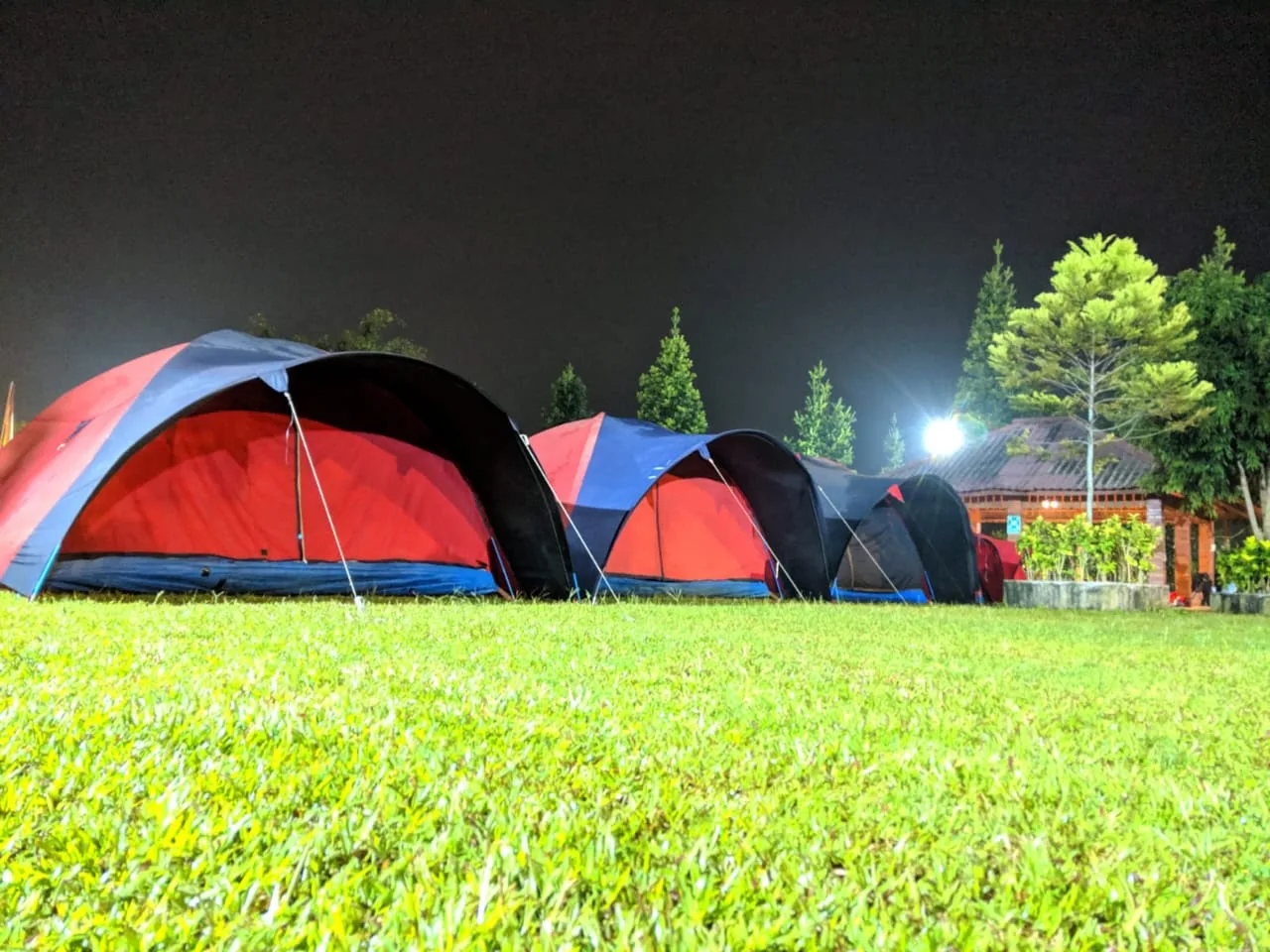 Palidan camp (8)