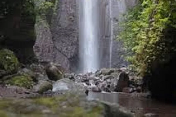 Trekking Bogor (2)