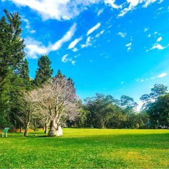 kebun raya 4 Treasure hunt di kebun raya Bogor
