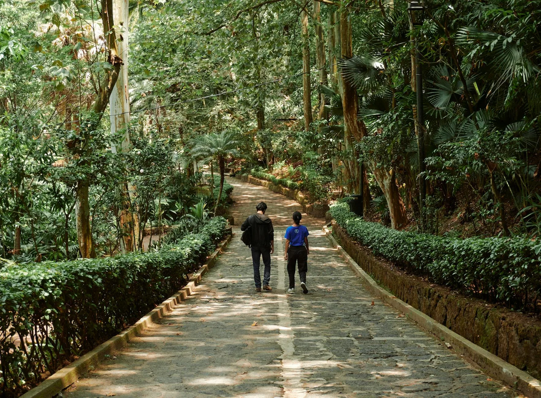 Amazing Race di Kebun Raya Bogor