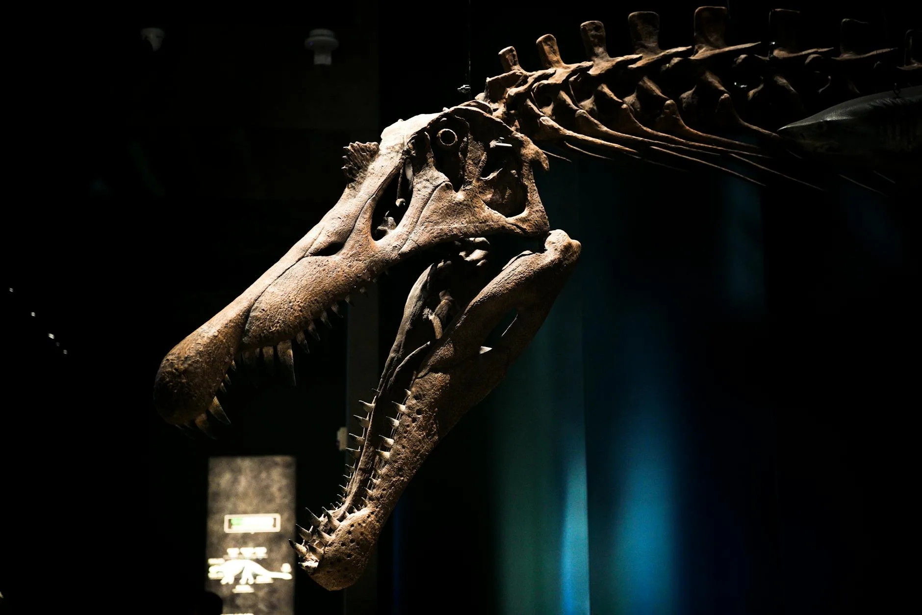 Eksterior Museum Zoologi Bogor dengan koleksi satwa dan sejarah ilmiah, cocok untuk kunjungan edukatif perusahaan.