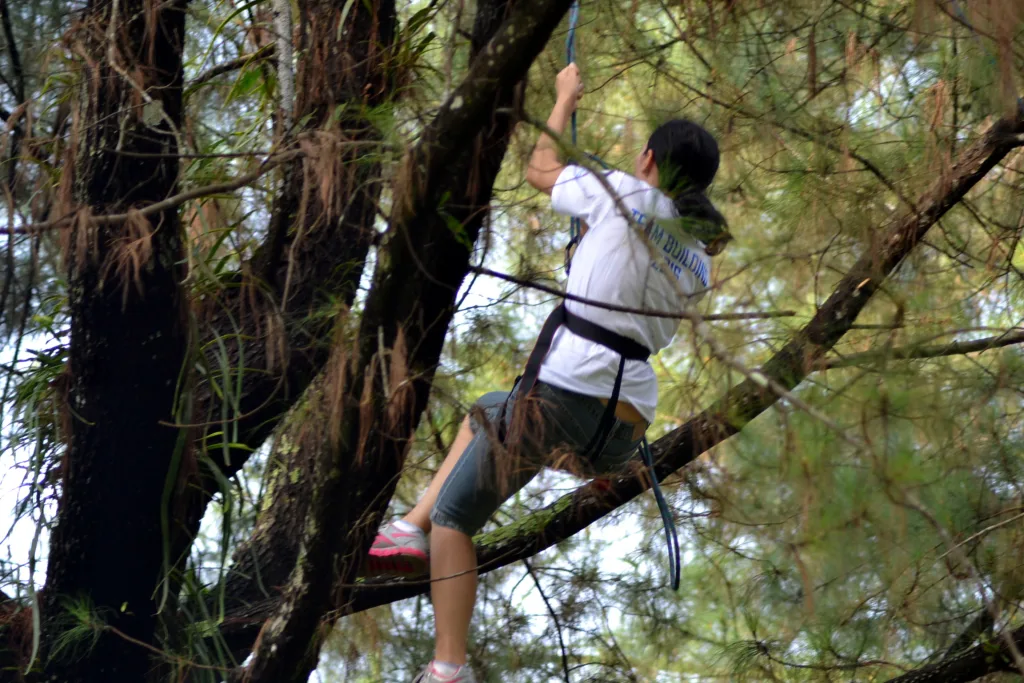 team building di albero resort team building di albero resort